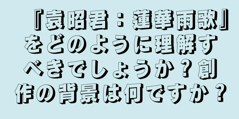 『袁昭君：蓮華雨歌』をどのように理解すべきでしょうか？創作の背景は何ですか？