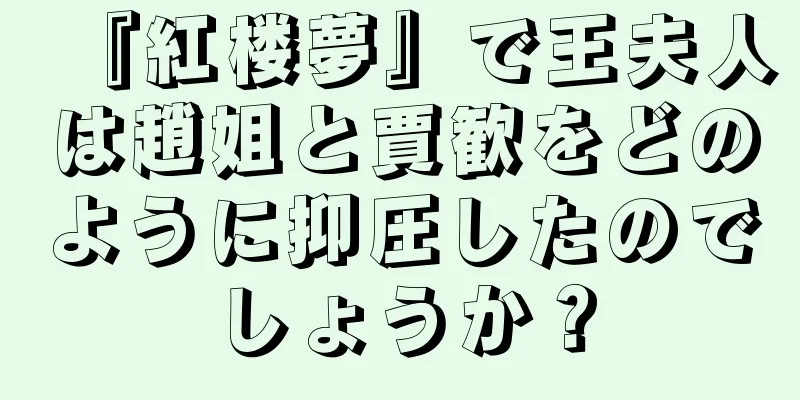 『紅楼夢』で王夫人は趙姐と賈歓をどのように抑圧したのでしょうか？