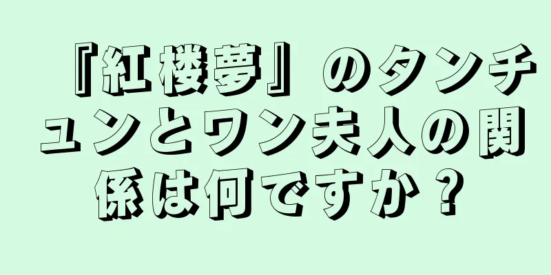 『紅楼夢』のタンチュンとワン夫人の関係は何ですか？