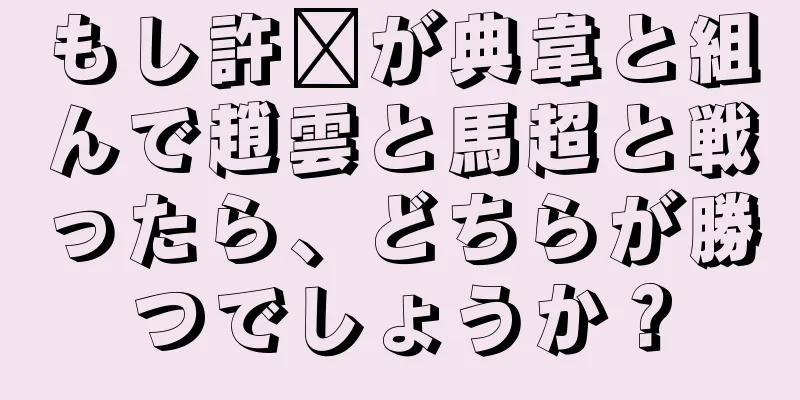 もし許褚が典韋と組んで趙雲と馬超と戦ったら、どちらが勝つでしょうか？