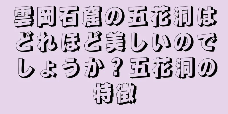 雲岡石窟の五花洞はどれほど美しいのでしょうか？五花洞の特徴