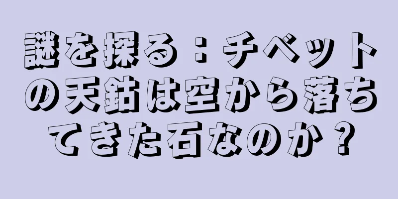 謎を探る：チベットの天鈷は空から落ちてきた石なのか？