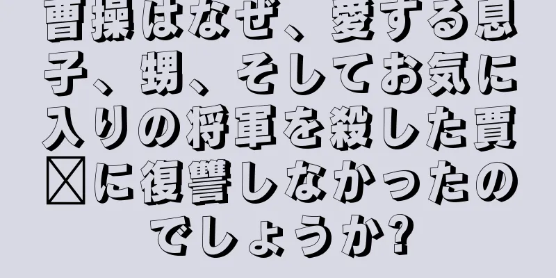曹操はなぜ、愛する息子、甥、そしてお気に入りの将軍を殺した賈詡に復讐しなかったのでしょうか?