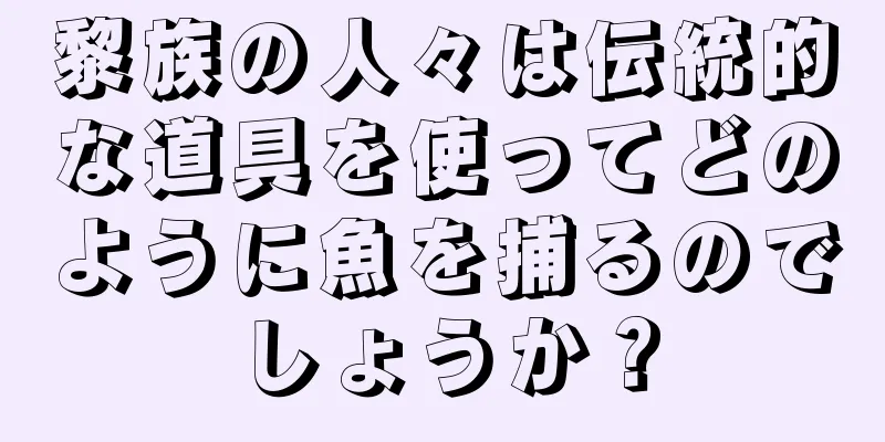 黎族の人々は伝統的な道具を使ってどのように魚を捕るのでしょうか？