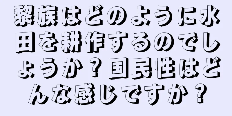 黎族はどのように水田を耕作するのでしょうか？国民性はどんな感じですか？