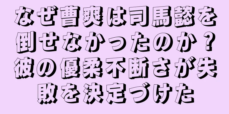 なぜ曹爽は司馬懿を倒せなかったのか？彼の優柔不断さが失敗を決定づけた