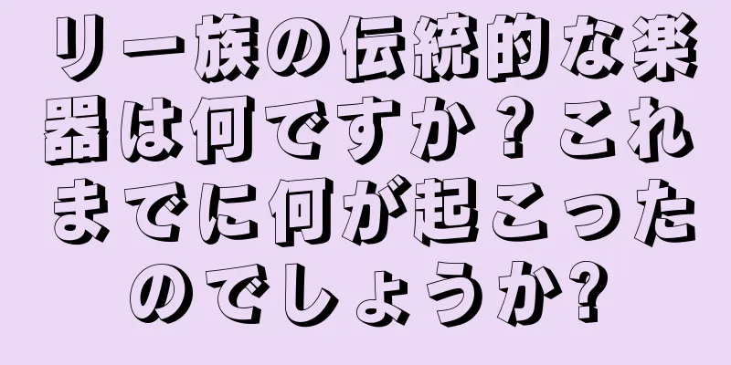 リー族の伝統的な楽器は何ですか？これまでに何が起こったのでしょうか?