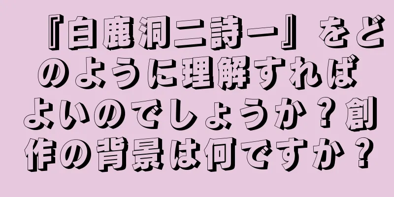 『白鹿洞二詩一』をどのように理解すればよいのでしょうか？創作の背景は何ですか？