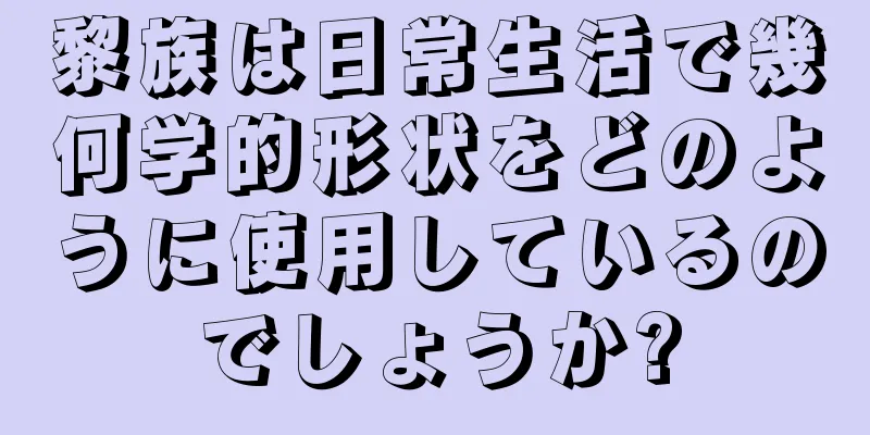 黎族は日常生活で幾何学的形状をどのように使用しているのでしょうか?