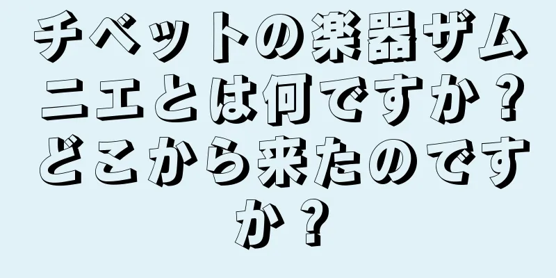 チベットの楽器ザムニエとは何ですか？どこから来たのですか？
