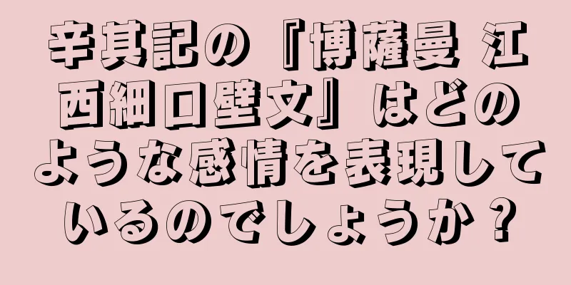 辛其記の『博薩曼 江西細口壁文』はどのような感情を表現しているのでしょうか？