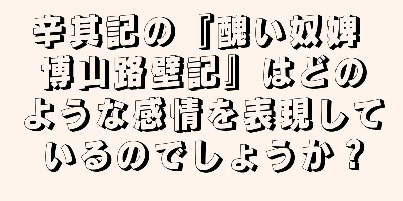 辛其記の『醜い奴婢 博山路壁記』はどのような感情を表現しているのでしょうか？