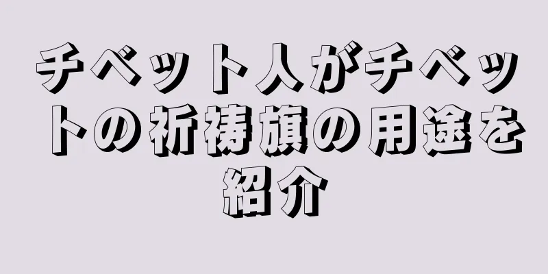 チベット人がチベットの祈祷旗の用途を紹介
