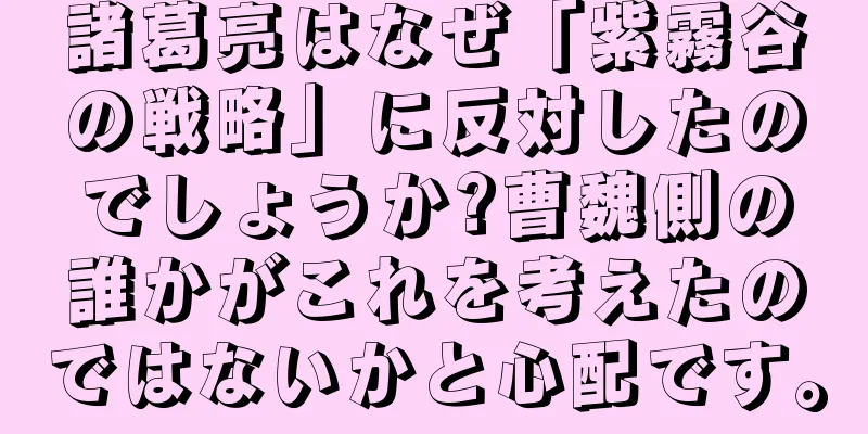 諸葛亮はなぜ「紫霧谷の戦略」に反対したのでしょうか?曹魏側の誰かがこれを考えたのではないかと心配です。