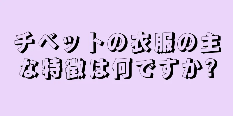 チベットの衣服の主な特徴は何ですか?