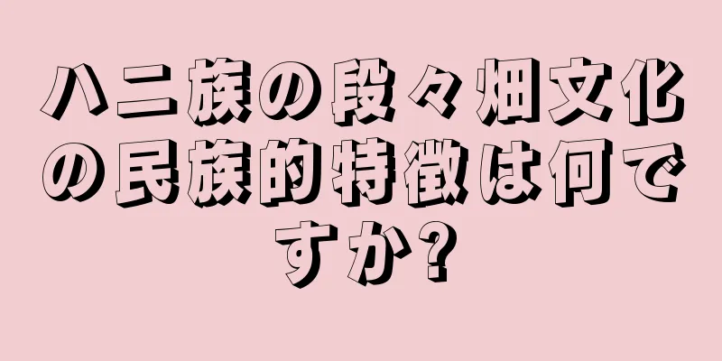 ハニ族の段々畑文化の民族的特徴は何ですか?