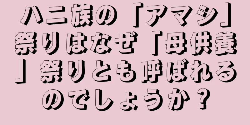 ハニ族の「アマシ」祭りはなぜ「母供養」祭りとも呼ばれるのでしょうか？