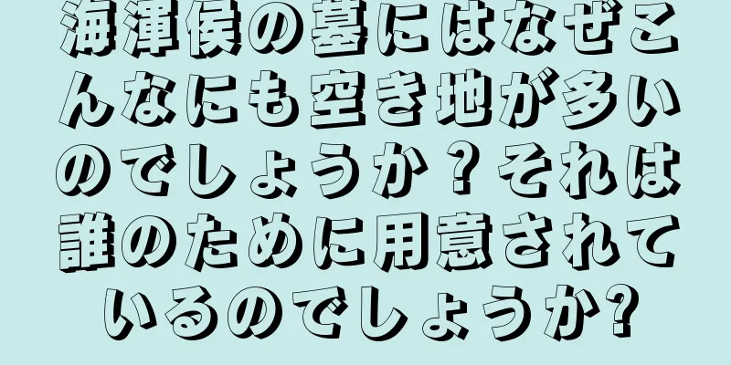 海渾侯の墓にはなぜこんなにも空き地が多いのでしょうか？それは誰のために用意されているのでしょうか?