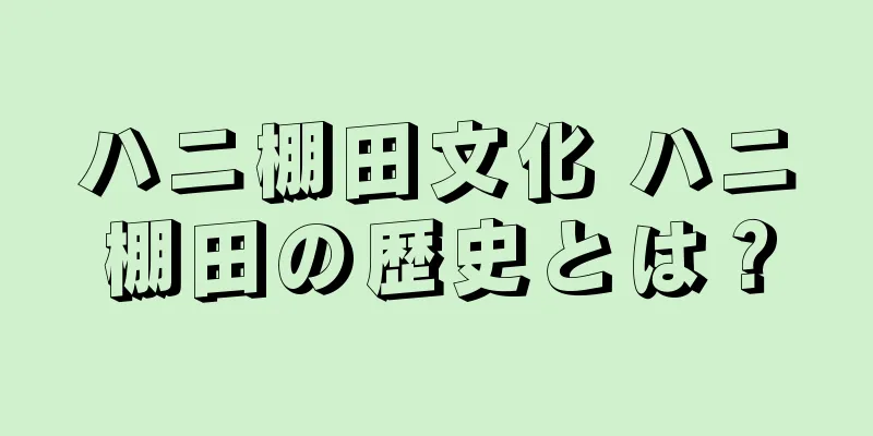 ハニ棚田文化 ハニ棚田の歴史とは？