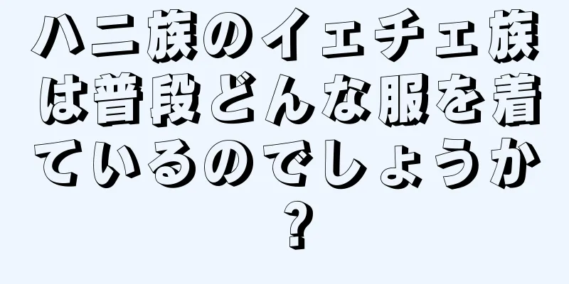 ハニ族のイェチェ族は普段どんな服を着ているのでしょうか？