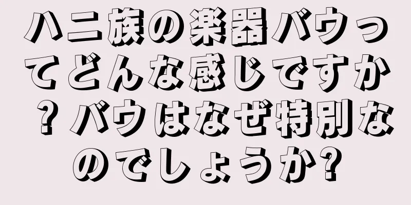 ハニ族の楽器バウってどんな感じですか？バウはなぜ特別なのでしょうか?