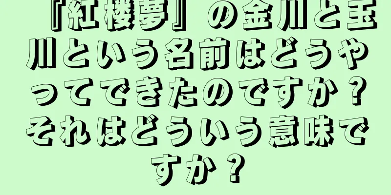 『紅楼夢』の金川と玉川という名前はどうやってできたのですか？それはどういう意味ですか？