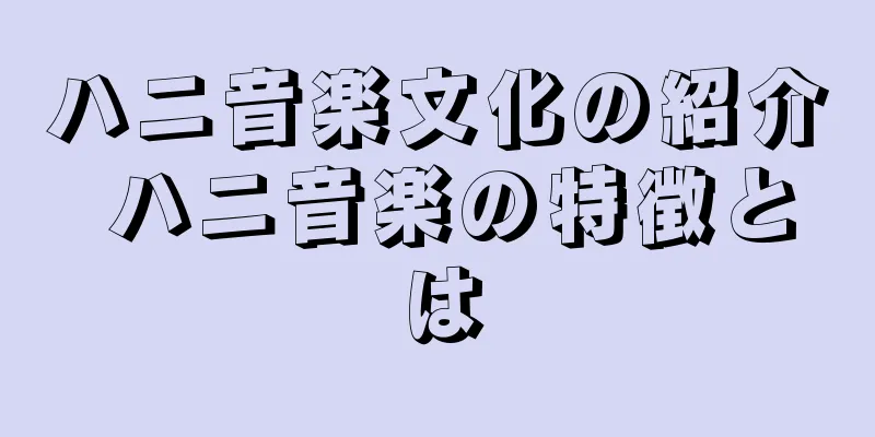 ハニ音楽文化の紹介 ハニ音楽の特徴とは