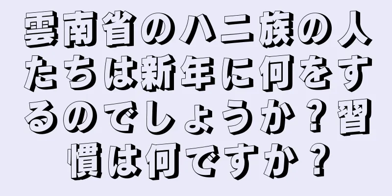 雲南省のハニ族の人たちは新年に何をするのでしょうか？習慣は何ですか？