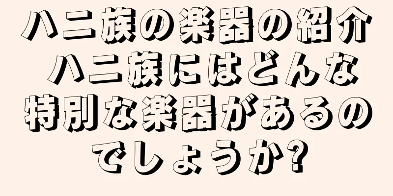 ハニ族の楽器の紹介 ハニ族にはどんな特別な楽器があるのでしょうか?