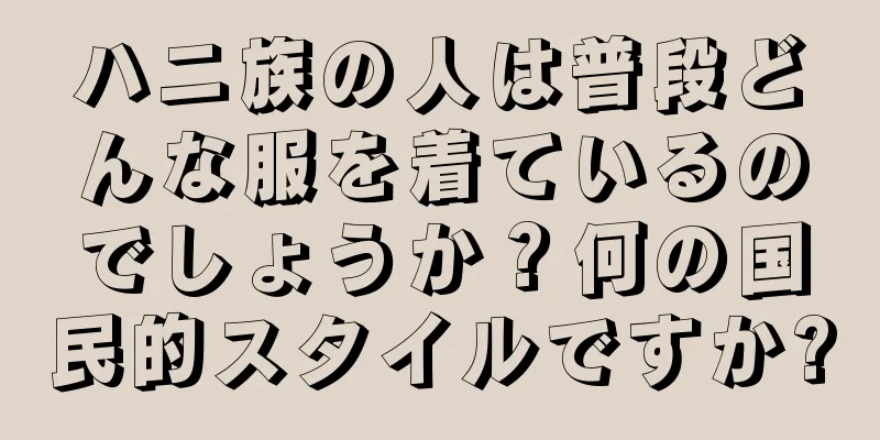 ハニ族の人は普段どんな服を着ているのでしょうか？何の国民的スタイルですか?