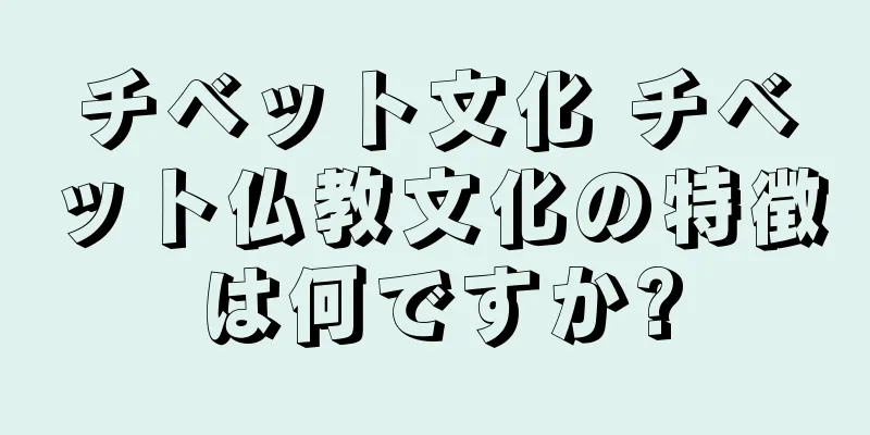 チベット文化 チベット仏教文化の特徴は何ですか?