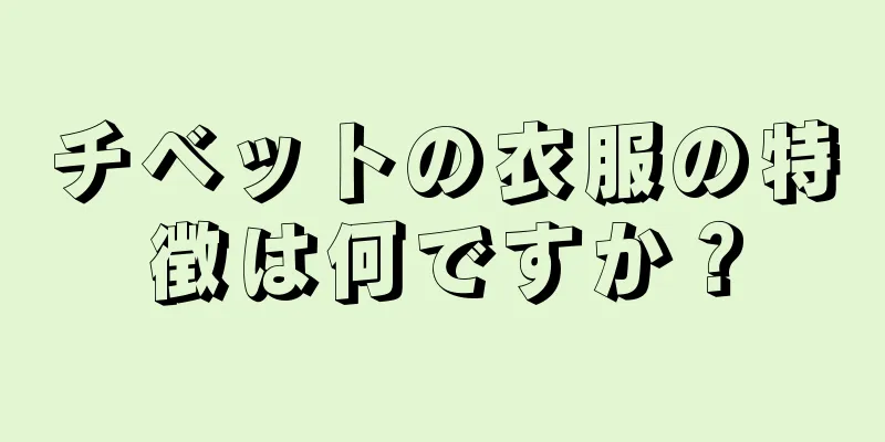 チベットの衣服の特徴は何ですか？