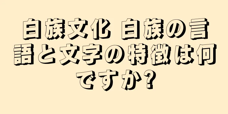 白族文化 白族の言語と文字の特徴は何ですか?