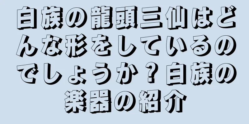 白族の龍頭三仙はどんな形をしているのでしょうか？白族の楽器の紹介