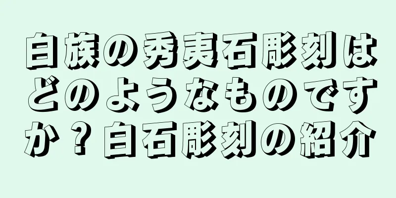 白族の秀夷石彫刻はどのようなものですか？白石彫刻の紹介