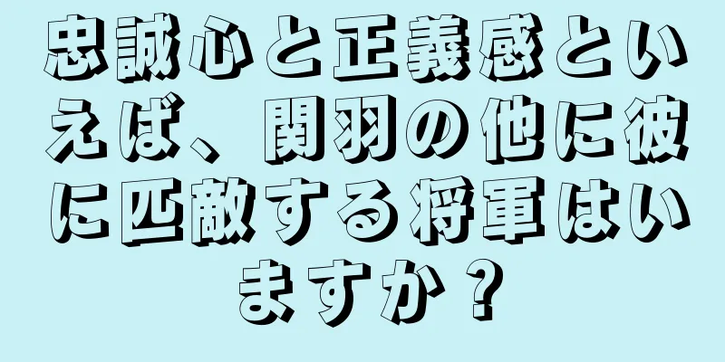 忠誠心と正義感といえば、関羽の他に彼に匹敵する将軍はいますか？