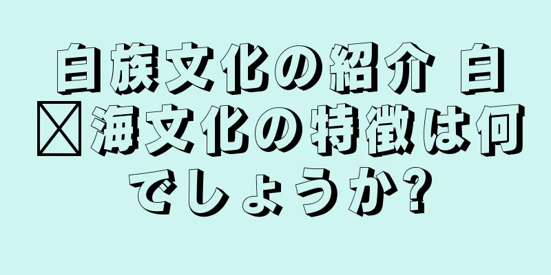 白族文化の紹介 白洱海文化の特徴は何でしょうか?