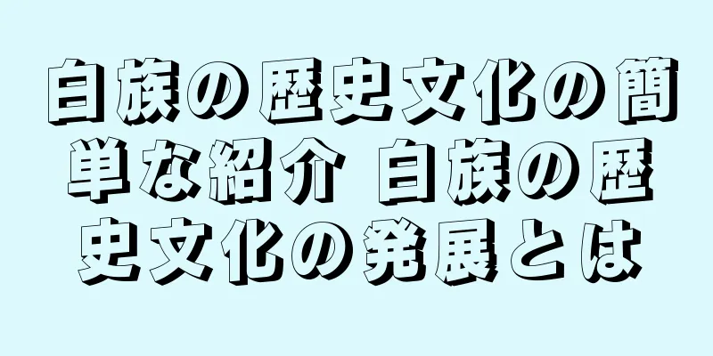 白族の歴史文化の簡単な紹介 白族の歴史文化の発展とは