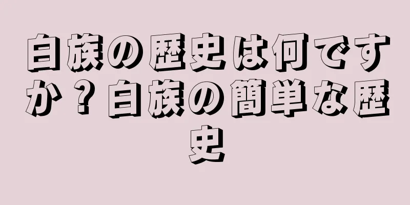 白族の歴史は何ですか？白族の簡単な歴史