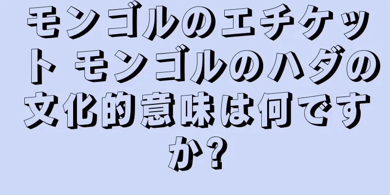 モンゴルのエチケット モンゴルのハダの文化的意味は何ですか?