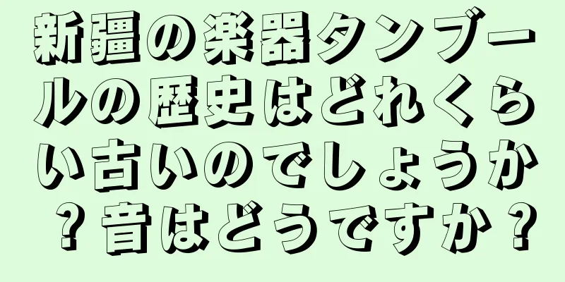 新疆の楽器タンブールの歴史はどれくらい古いのでしょうか？音はどうですか？