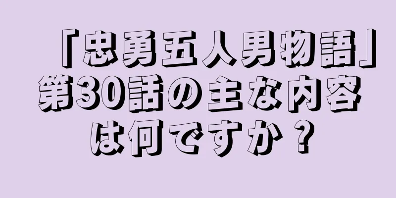 「忠勇五人男物語」第30話の主な内容は何ですか？