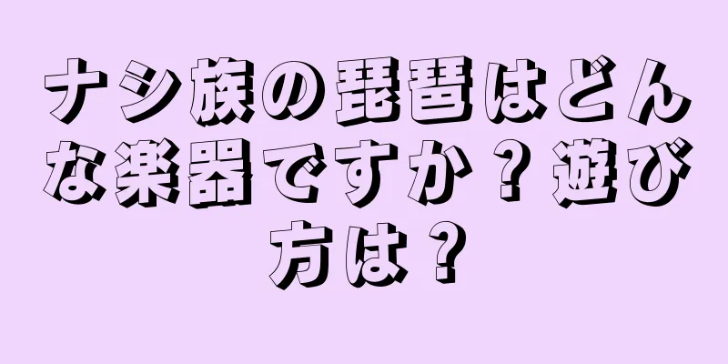 ナシ族の琵琶はどんな楽器ですか？遊び方は？