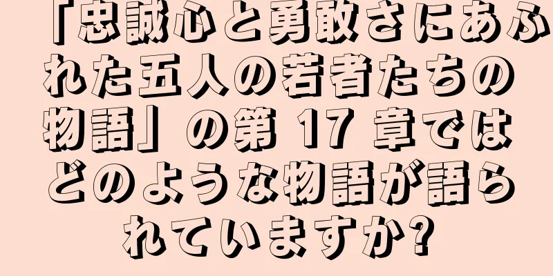 「忠誠心と勇敢さにあふれた五人の若者たちの物語」の第 17 章ではどのような物語が語られていますか?