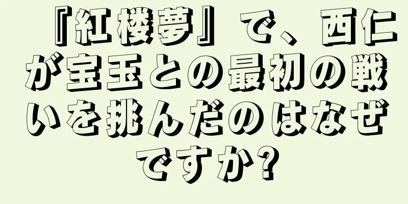 『紅楼夢』で、西仁が宝玉との最初の戦いを挑んだのはなぜですか?