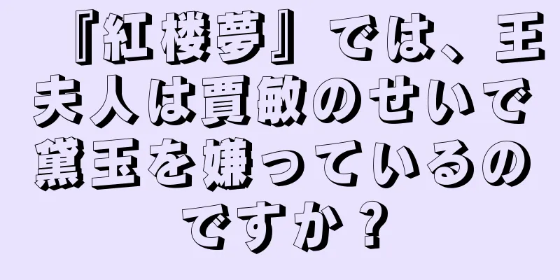 『紅楼夢』では、王夫人は賈敏のせいで黛玉を嫌っているのですか？