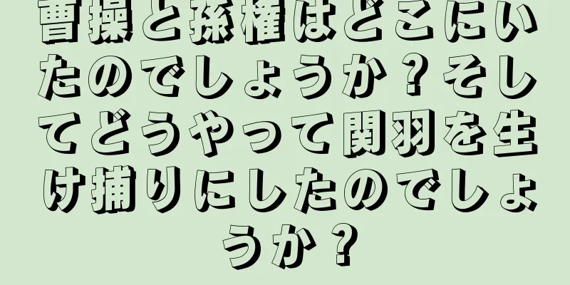 曹操と孫権はどこにいたのでしょうか？そしてどうやって関羽を生け捕りにしたのでしょうか？