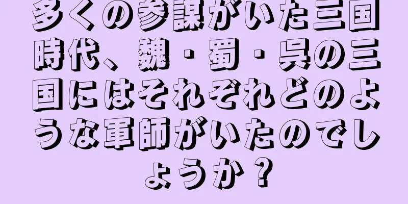 多くの参謀がいた三国時代、魏・蜀・呉の三国にはそれぞれどのような軍師がいたのでしょうか？