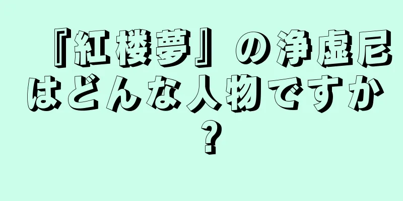 『紅楼夢』の浄虚尼はどんな人物ですか？