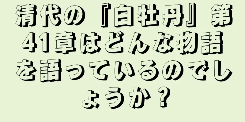 清代の『白牡丹』第41章はどんな物語を語っているのでしょうか？
